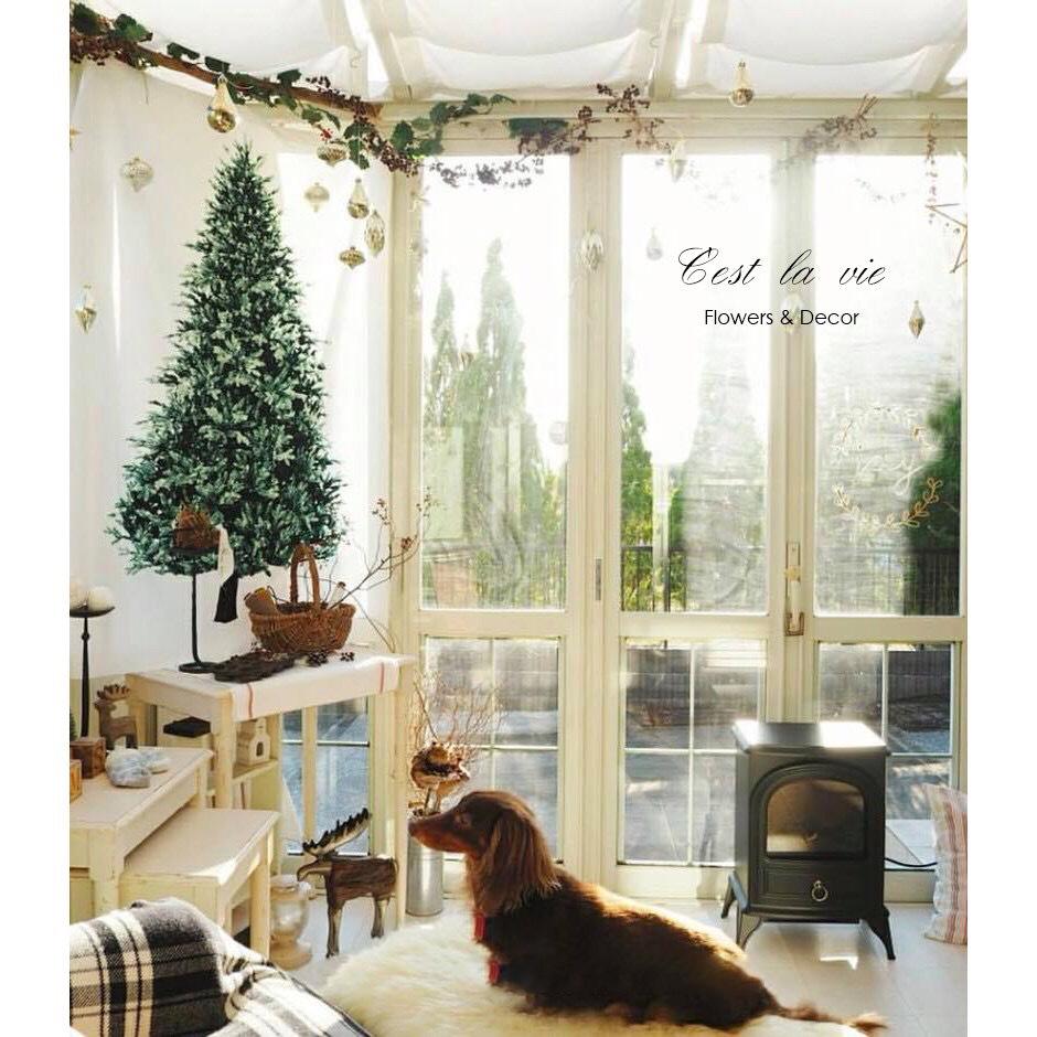 Christmas Tree Pine Branch Wall Hanging Fabric Minimalist Holiday Backdrop Tapestry Simple Festive Home Decoration XmasTreeDecor