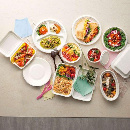 Shimojima Heiko Bagasse Paper Plates, Deep, Commercial-Grade, NFP150, Pack of 50, 004477020, 15cm Diameter X 1.5cm Height