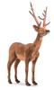 BH4509 HANSA Deer 96 White-tailed