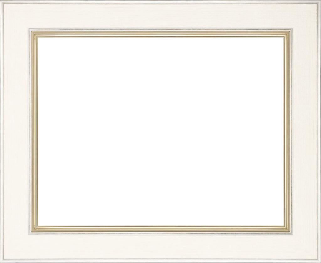 Oil Painting Frame 8163 Acrylic with MDF Backing UV-cut (white, F6)