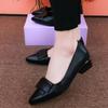 Foreign Trade Export Low-heeled Single Shoes Women's 2025 Autumn New Pointed Thick-heeled Mother Shoes Versatile Soft-soled Work Leather Shoes