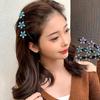 Crystal Star Hair Clip Fashionable Women Hair Barrettes Elegant Hair Pin for Women and Girls