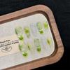10PCS Clear Almond False Nails with French Tip Resin Material Zero Pressure on Nail Bed for Fingernail DIY Decoration