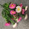 Silk Artificial Daisies Chrysanthemum Bouquet Indoor Plant Wedding Decoration