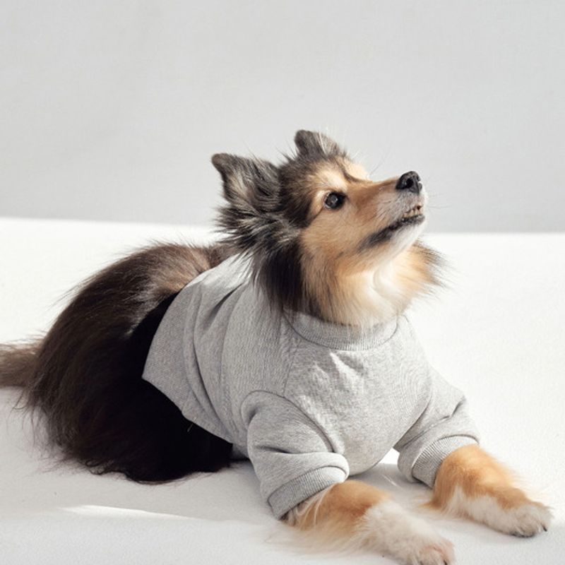 Свитшот CROOKTHECHIHUAHUA - Укороченный - СЕРЫЙ