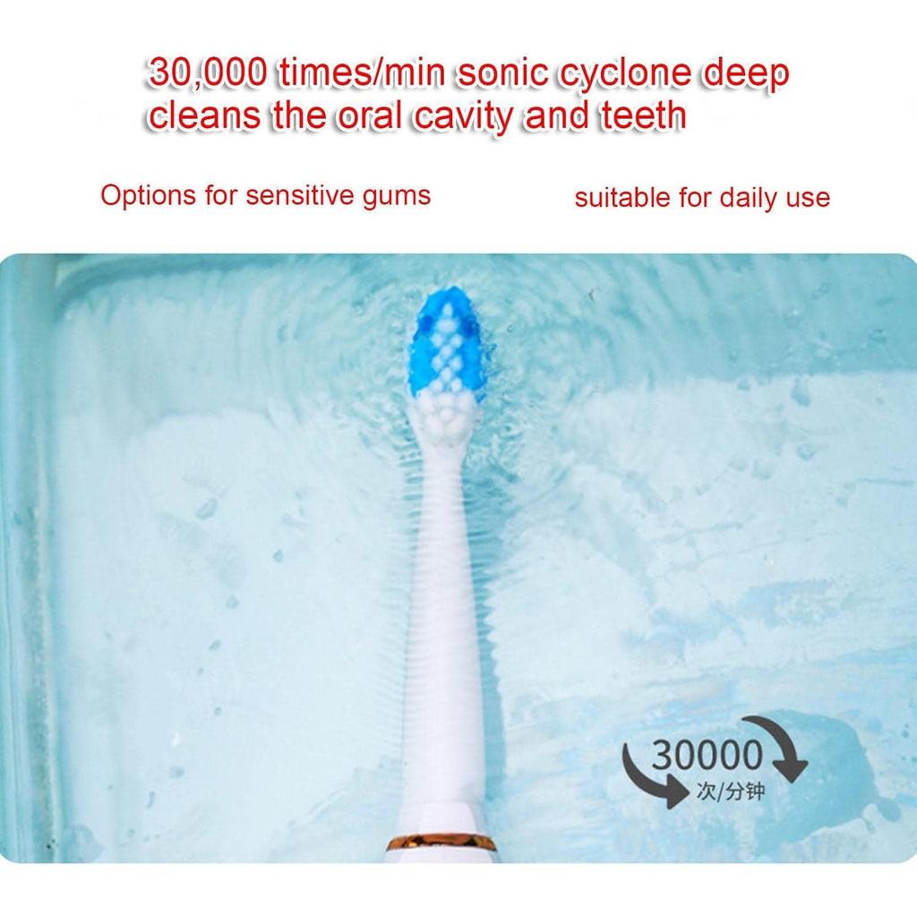 Electric Toothbrushes - Electric Toothbrush for Adults and Kids, American Dental Association Accepted, Rechargeable Travel Sonic,B