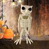 Украшение в виде скелета совы на Хэллоуин, реалистичная 12-дюймовая фигурка скелета животного, пластиковая модель кости совы для декора вечеринки в доме с привидениями