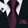 2021 Men Ties 10 Styles Silk Necktie Hanky Cufflinks Plaid Striped Ties Set for Business Wedding