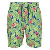 Regatta Mens Hamza Flamingo Swim Shorts