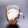 350Ml Fillings Dry Flowers Double Wall Glass Cup With Handle Heat Resistant Tea Coffee Cups Espresso Milk Mug Creative Gift