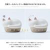 Radius Radius Completely Wireless NEKO True Wireless Earphones Bluetooth Compatible Fully Wireless Left and Right Separated Type AAC Lightweight Cat