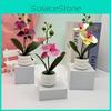 Potted Faux Phalaenopsis Flower For Event Decor And Indoor Embellishment Home