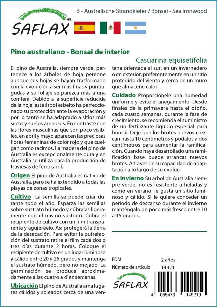 SAFLAX Бонсай - Sea Ironwood - 200 семян - Casuarina equisetifolia