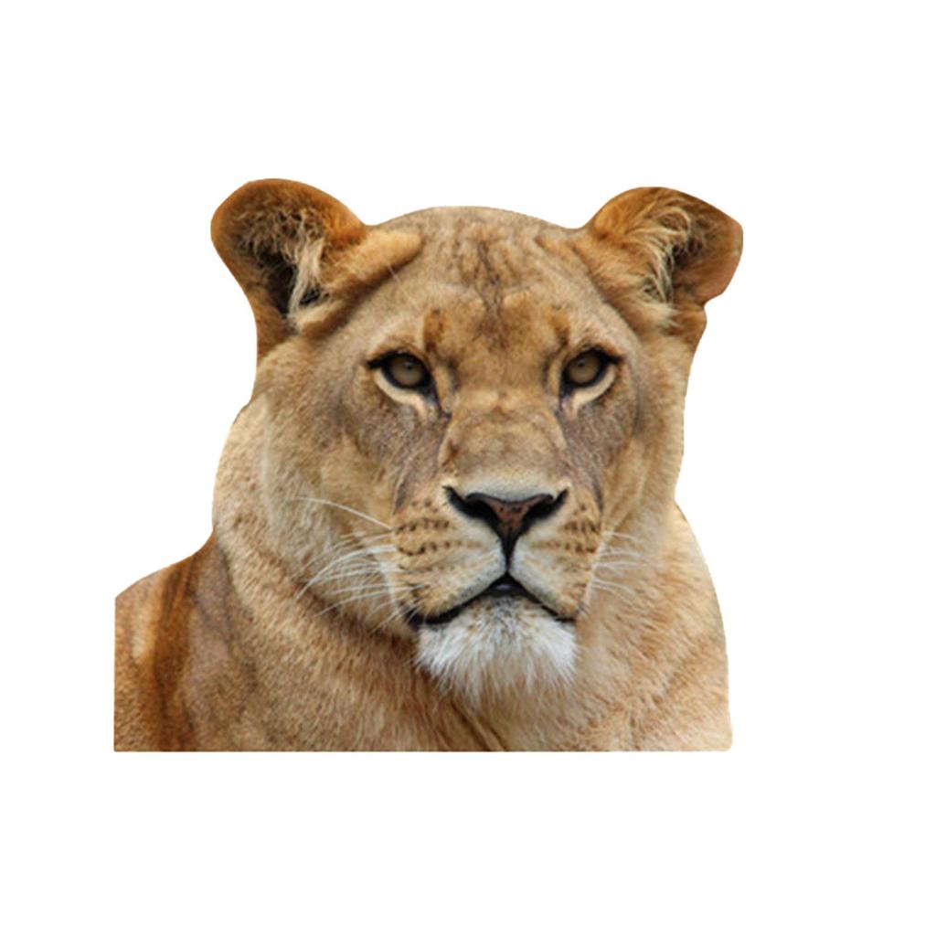 Наклейки на оконное стекло автомобиля, наклейка на автомобиль серии животных