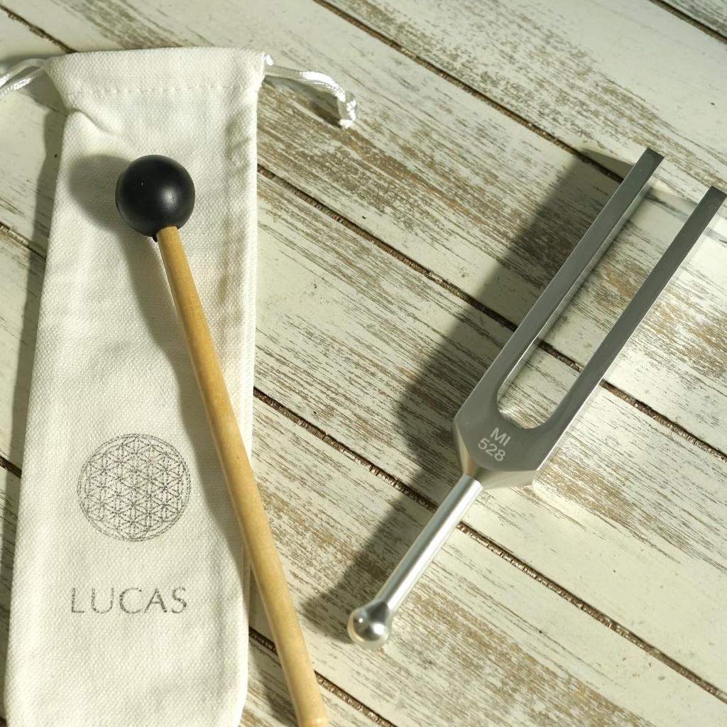 Healing Purification Tuner Repair Tuning Fork LUCAS [DNA 528Hz]