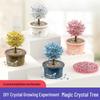 DIY Crystal Growing Magic Tree: Educational Toy for Primary Students