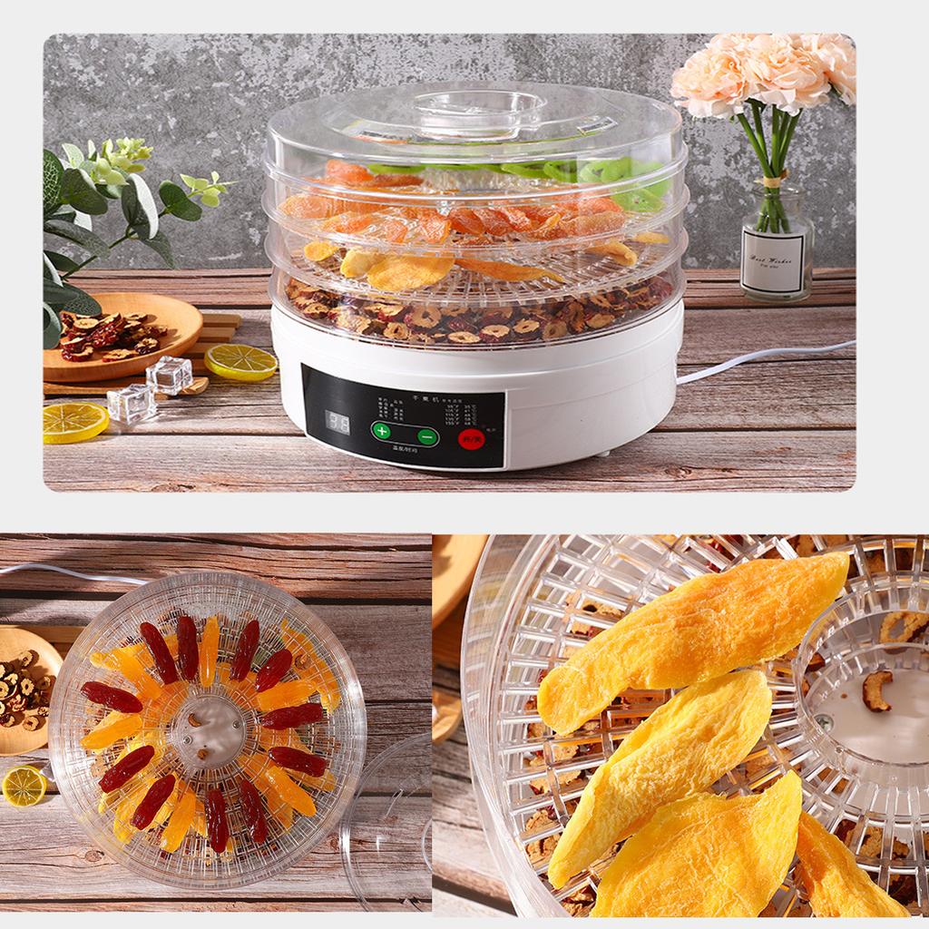 NEW Electric Food Dehydrator for Fruits and Vegetables 350W Temperature Adjustment 5 Trays Snacks Air Dryer 110/220V