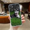 NH32 husky dog Phone Case for Motorola Moto E13 E15 E20 E22 E22I E22S E30 E32 E40 E7 E7I G Plus Power Play Stylus G22 G14