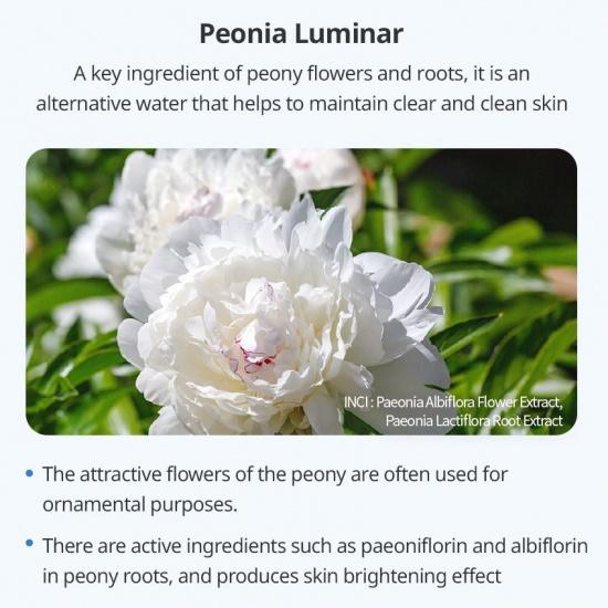 Atomy Корректор темных пятен Absolute Snow 9,5 мл