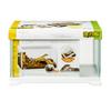 EXOTERRA GEX EXOTERRA Reptile White 300 Низкая маленькая стеклянная клетка для рептилий с белой рамкой x D20 x Клетка для разведения Ш31,6 В19,2 см Рептилии/Амфибии