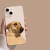 Милый чехол для телефона с парой кот и собака для iPhone 17 16 15 14 13 12 11 16Pro Max Ударопрочный прозрачный корпус Fundas