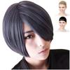 CaseEden Cosplay Wig, Short, 30cm, Heat-Resistant, Blue & Gray Mix, Blue Gray, Includes 2 Wig Nets