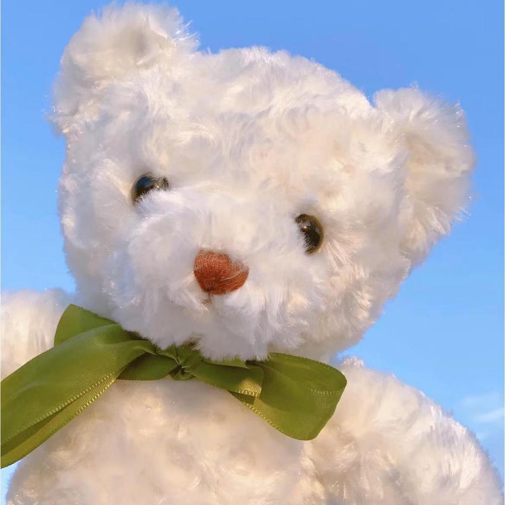 Подарочная коробка с плюшевой игрушкой «Мишка Тедди» - Набивная кукла-медведь на дни рождения