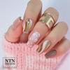 Allepaznokcie Reflective Effect Nail Powder 1 No. 5
