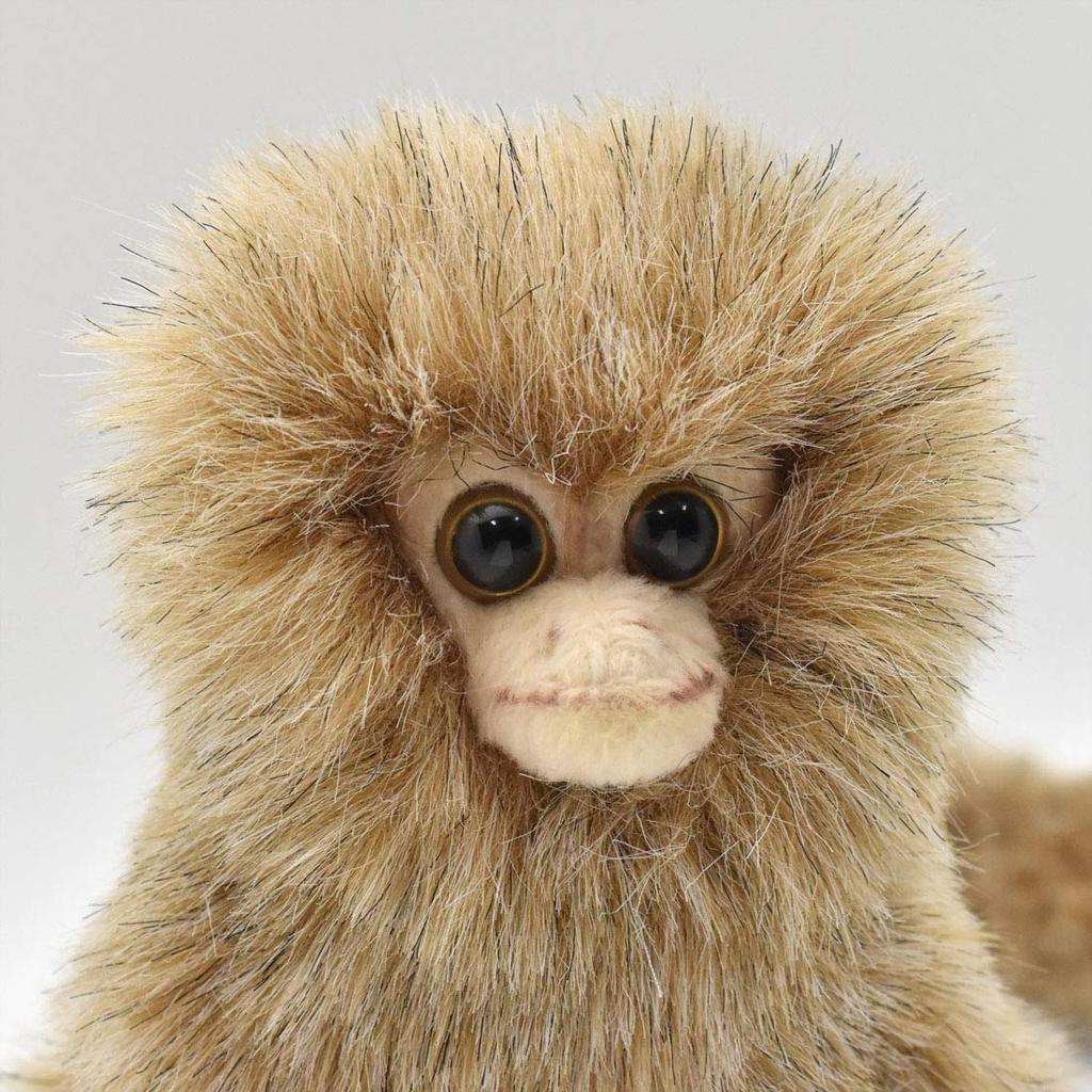 Pygmy Marmoset No.4688