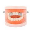 European & American Rhinestone Hip-Hop Teeth Grillz for Rappers and Halloween