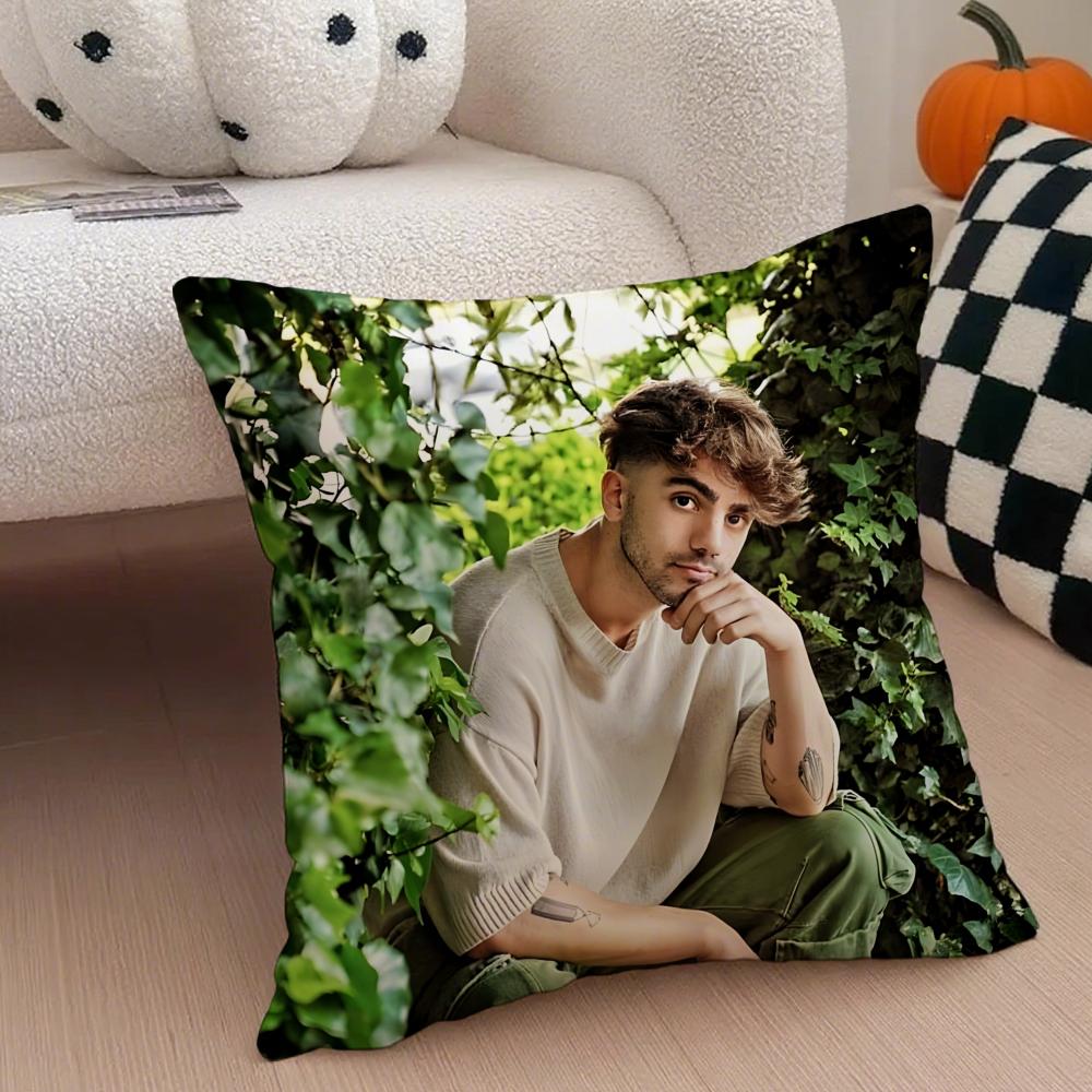 Creative Funny Argentine Creator FFede Vigevani Cushion Cover Throw Pillow Cover Hidden Button Durable Polyester Chair Cushion
