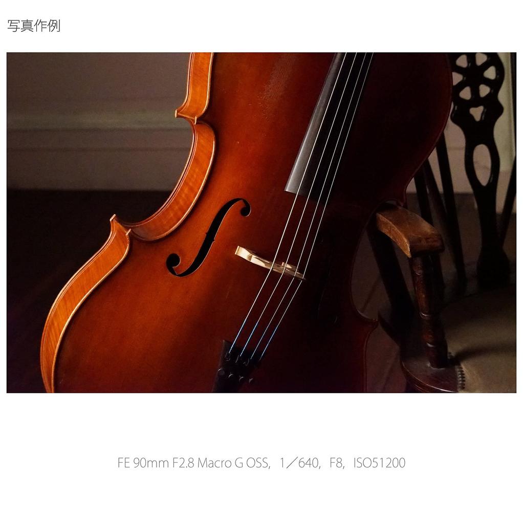 Sony Macro Full Size FE 90mm Macro G OSS G Lens for Digital Single Lens Camera Genuine Lens SEL90M28G F2.8 [E Mount]