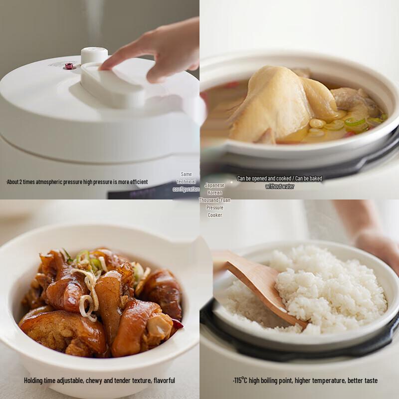 Olayks Smart Electric Pressure Cooker CN plug (adapter included)