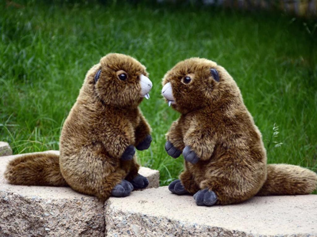 lilizzhoumax Realistic Groundhog Super Soft Groundhog Stuffed Kids Brown Plush, Animal, Girl's Toy, Gift, 9-Inch