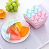 6/8 Cells DIY Ice Cream Mold Square PP Square Round Ice Cube Mould for Home