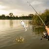 Double Propellers Frog Lure Rotating Tail Bass Fishing Lures Soft Frog Lure  Freshwater Fishing