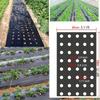1 шт. Черная сельскохозяйственная полиэтиленовая пленка для затенения растений, сельскохозяйственная перфорированная пленка для теплиц, пластиковая пленка для укрытия, пленка сохраняет тепло и влажность, проста в использовании.