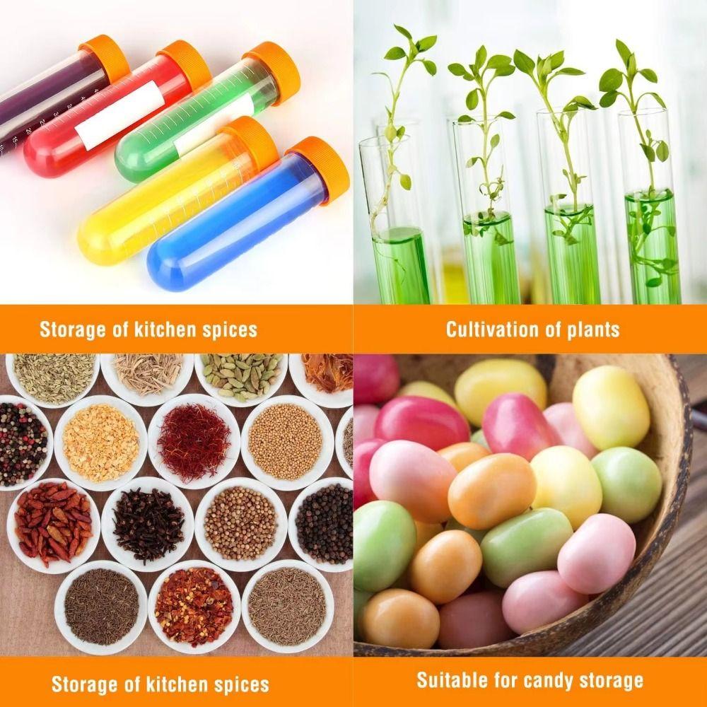 Learning Plastic Droppers Centrifuge Tube Holder Science Test Tubes Kids Test Tubes Student Use