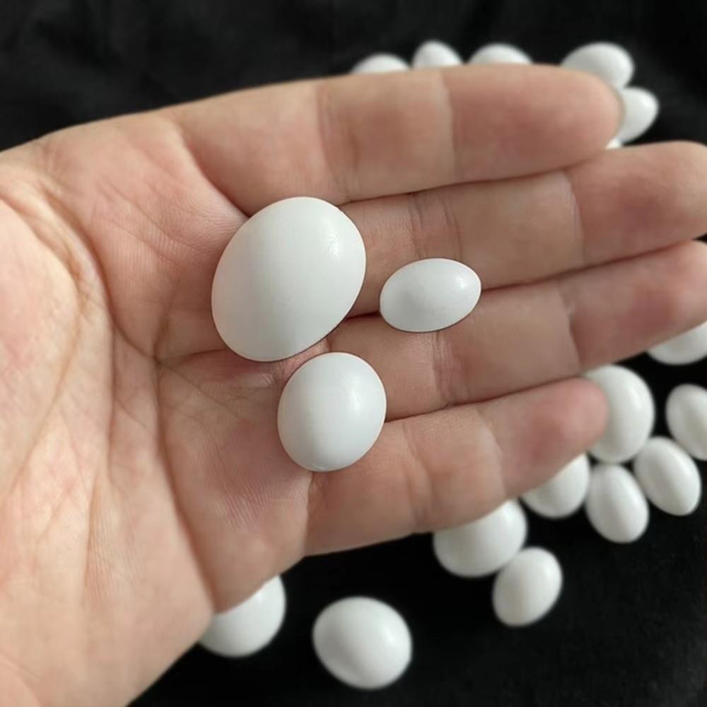 10pcs Multi-size Dummy Eggs White Parrot Eggs Model New Simulation Bird Eggs For Budgie Cockatiel