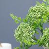3PCS Plastic Artificial Oat Fruit Green Colorr Faux Oat Stems Green Plastic Flowers  Wedding Floral