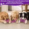 3Pcs Dog Chew Toy Indestructible Nylon Dog Toy Tough Durable Natural Bacon Flavor Bone Toy Pet Supplies for Medium and Large Dog