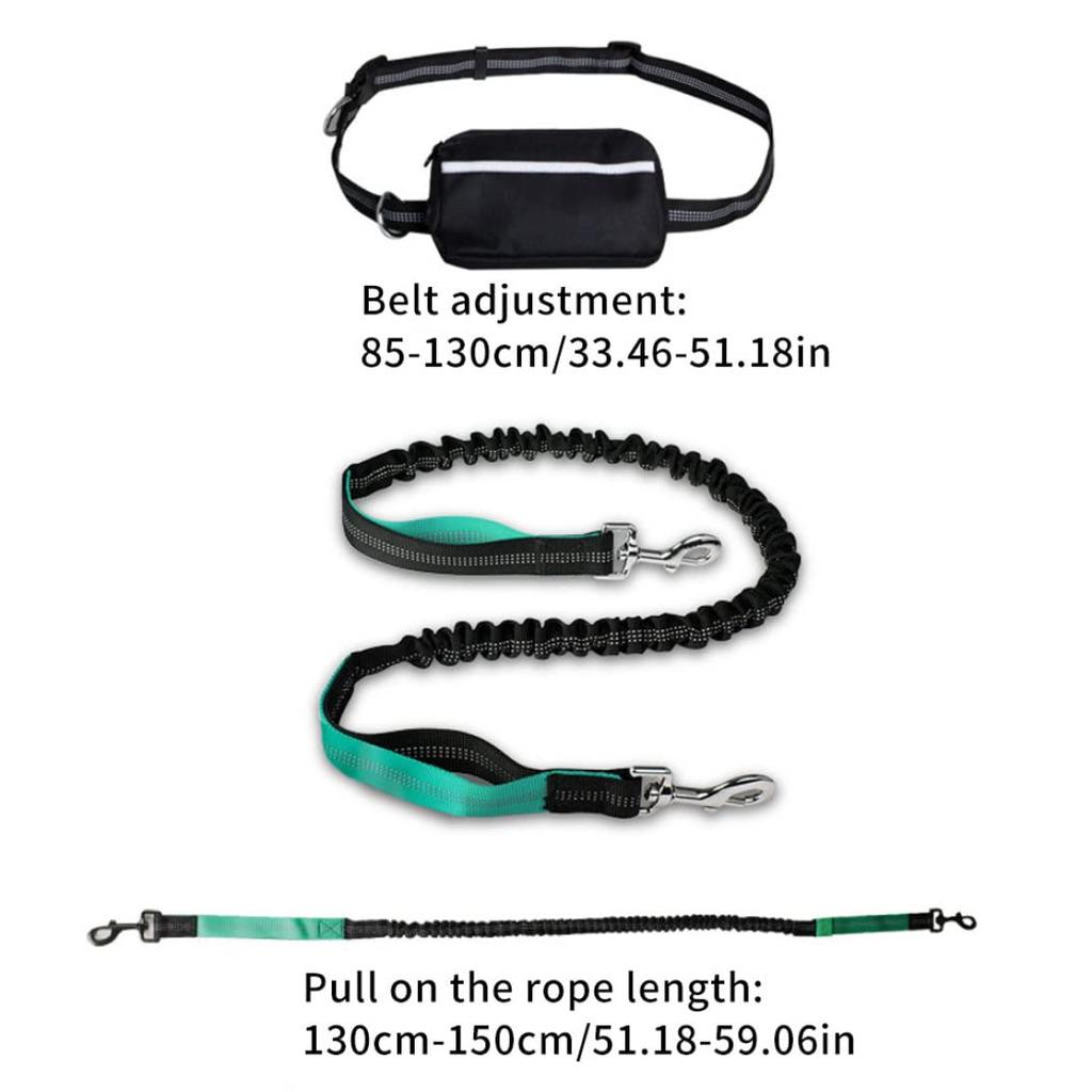 Reflective Hands Free Dog Leash with Zipper Pouch, Durable Bungee and Dual Padded Handles for Large and Medium Dogs