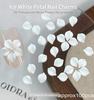 12grid 3D Colorful Crystal Flower Petal Nail Rhinestones Ice Translucent Petal Nail Charms Resin Flatback Flower Nail Charms E2*