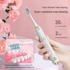 Zhigaop Rechargeable Sonic Electric Toothbrush CN plug (adapter included)