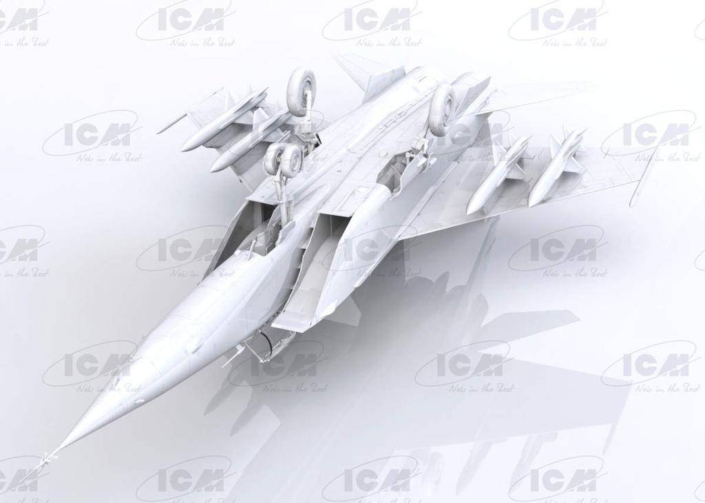 ICM Soviet BM Plastic Model Kit 48905 1/48 MiG-25