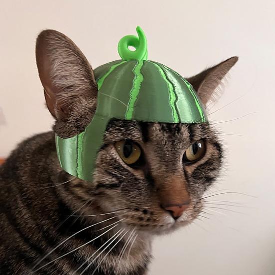 Yousheng Cute Watermelon Cat Hat 3D Printed Cat Cap with Ear Holes Funny Watermelon Cap for Cats Party Costume Photo Shoots