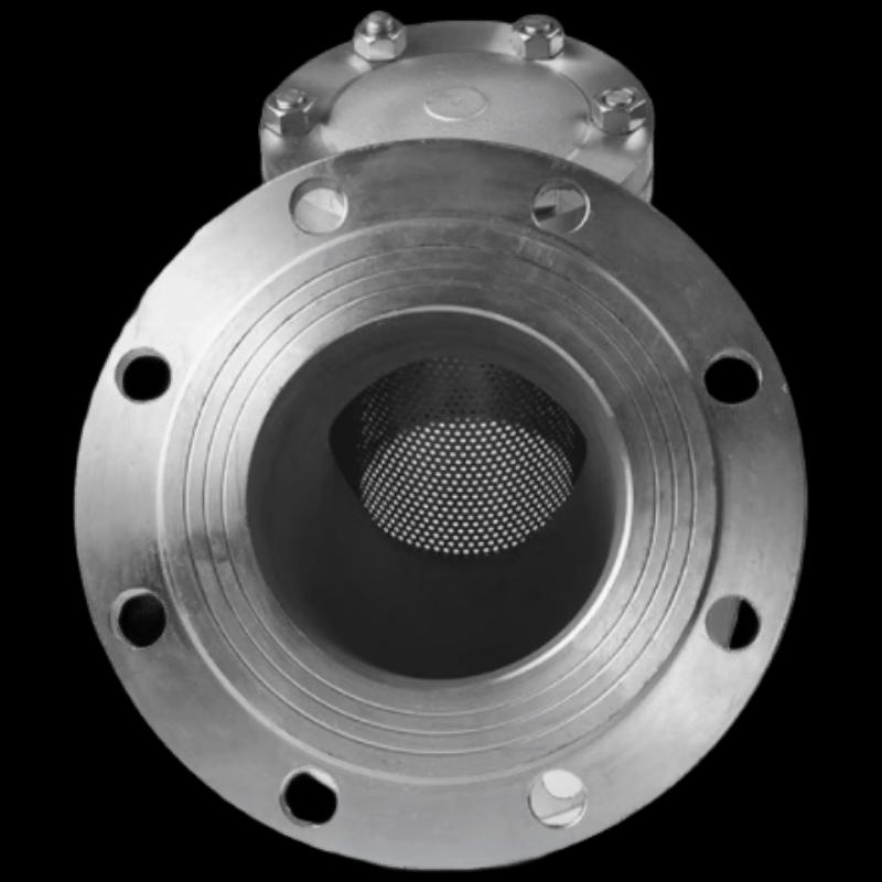 Fang Yuxing 316 Stainless Steel Flanged Y-Type Filter