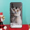 Чехол для Huawei Nova 9 10 SE 12i 11i 8i 12s Y90 Y60 Y70 Y72 Y61 Y91 P20 P40 P30 Lite P60 Pro с изображением Британской короткошерстной кошки