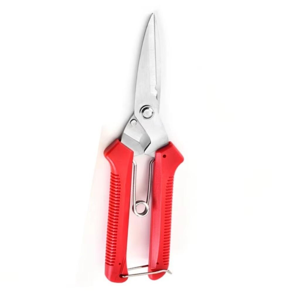 Stainless Steel Gardening Pruning Shears Precision Cutting Hand Pruner Branch Shears Fruit Tree