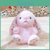 Rabbit Plush Keychain With Sitting Posture And Floral Design For Bag Gift